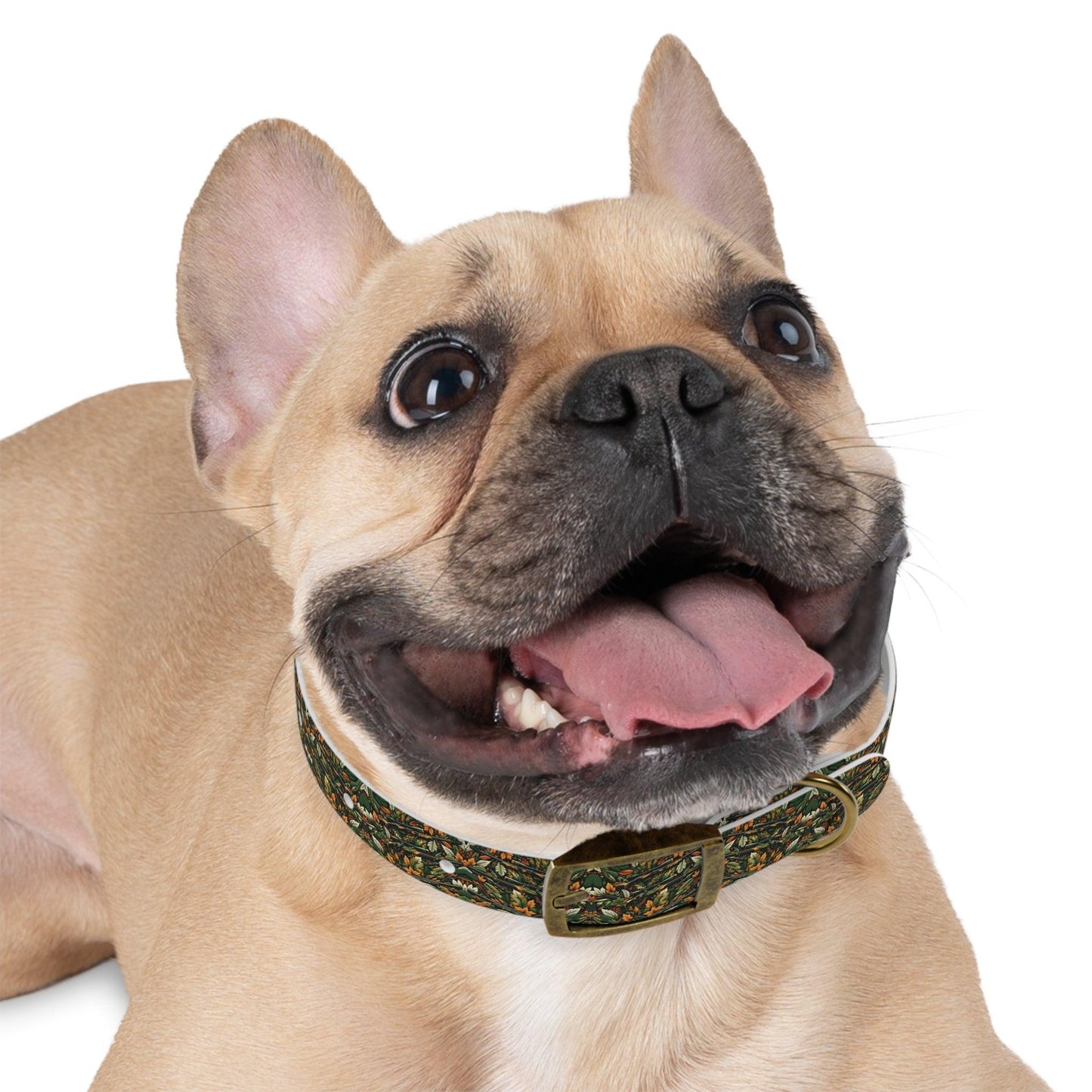 Hunt & Hike Collar