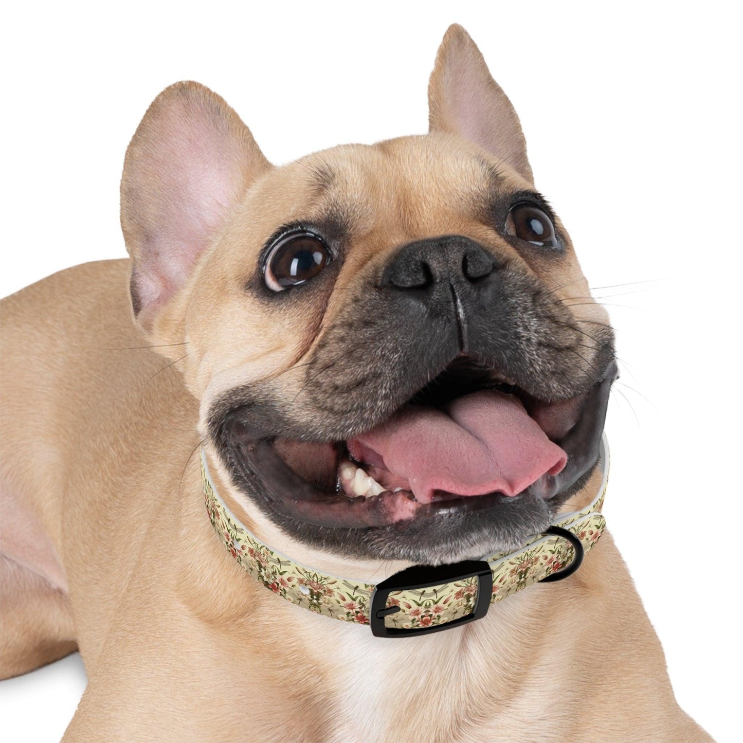 Wings & Whispers Dog Collar