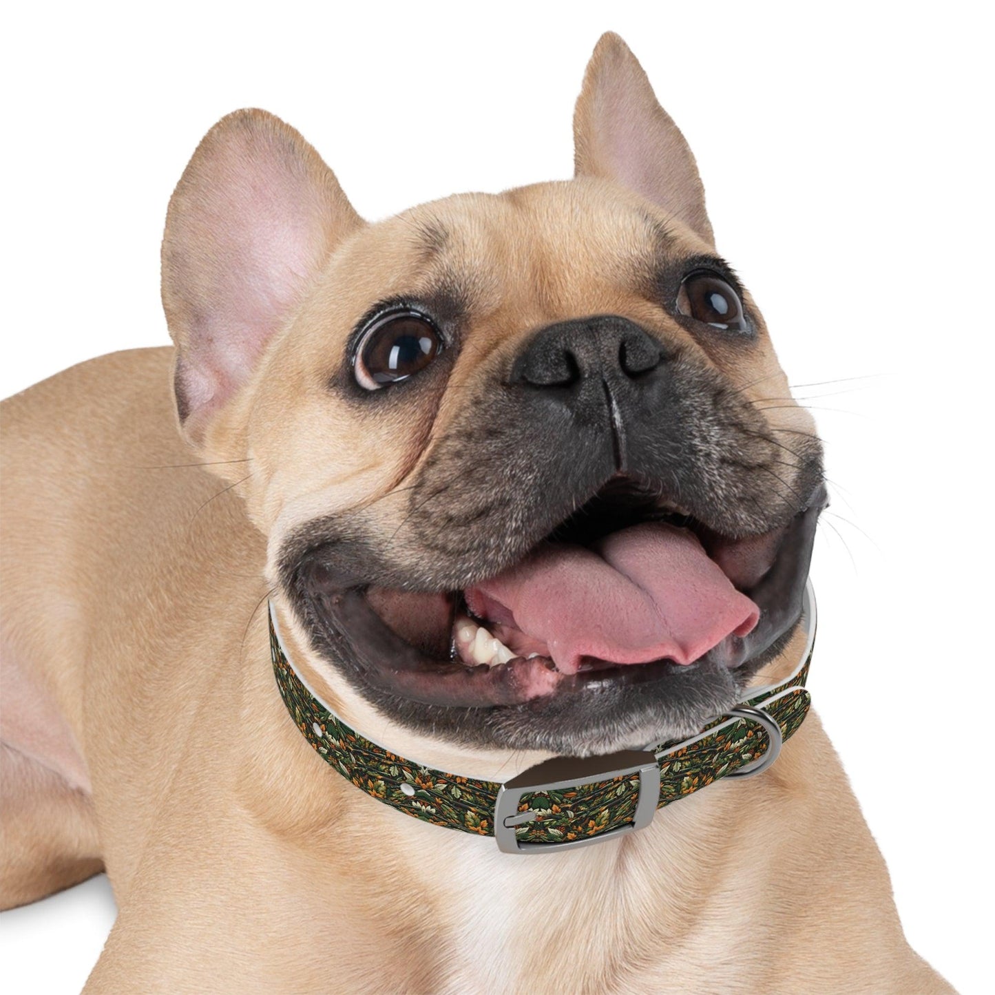 Hunt & Hike Collar