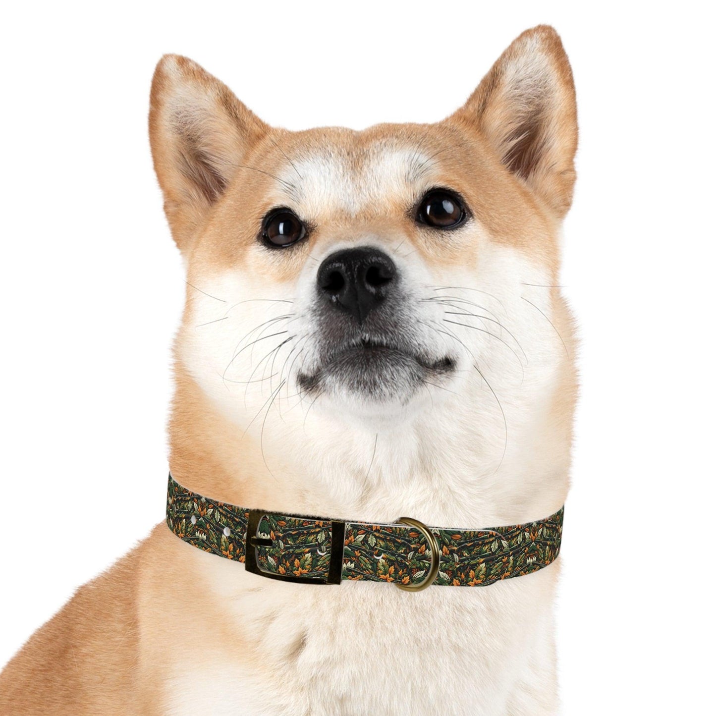 Hunt & Hike Collar