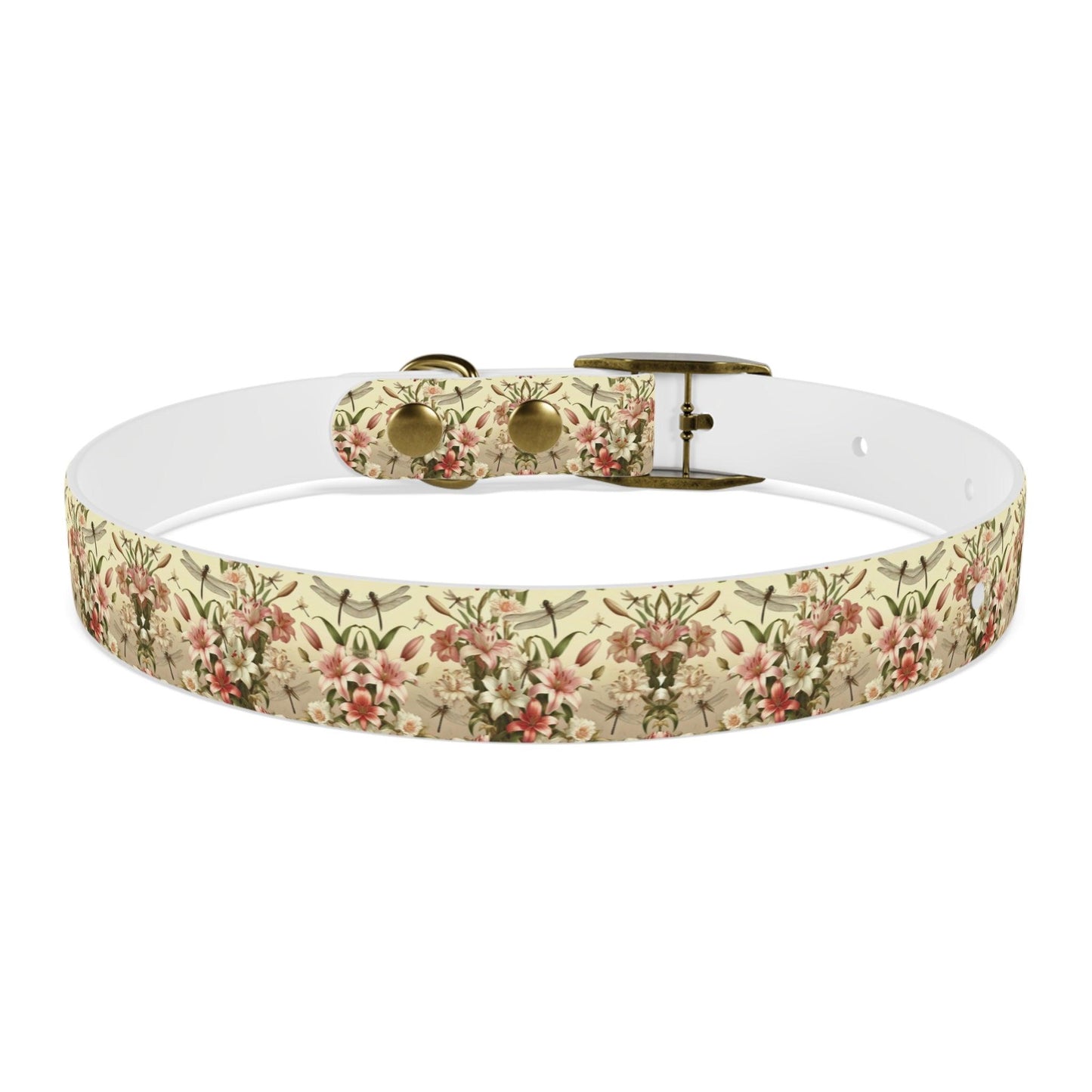 Wings & Whispers Dog Collar