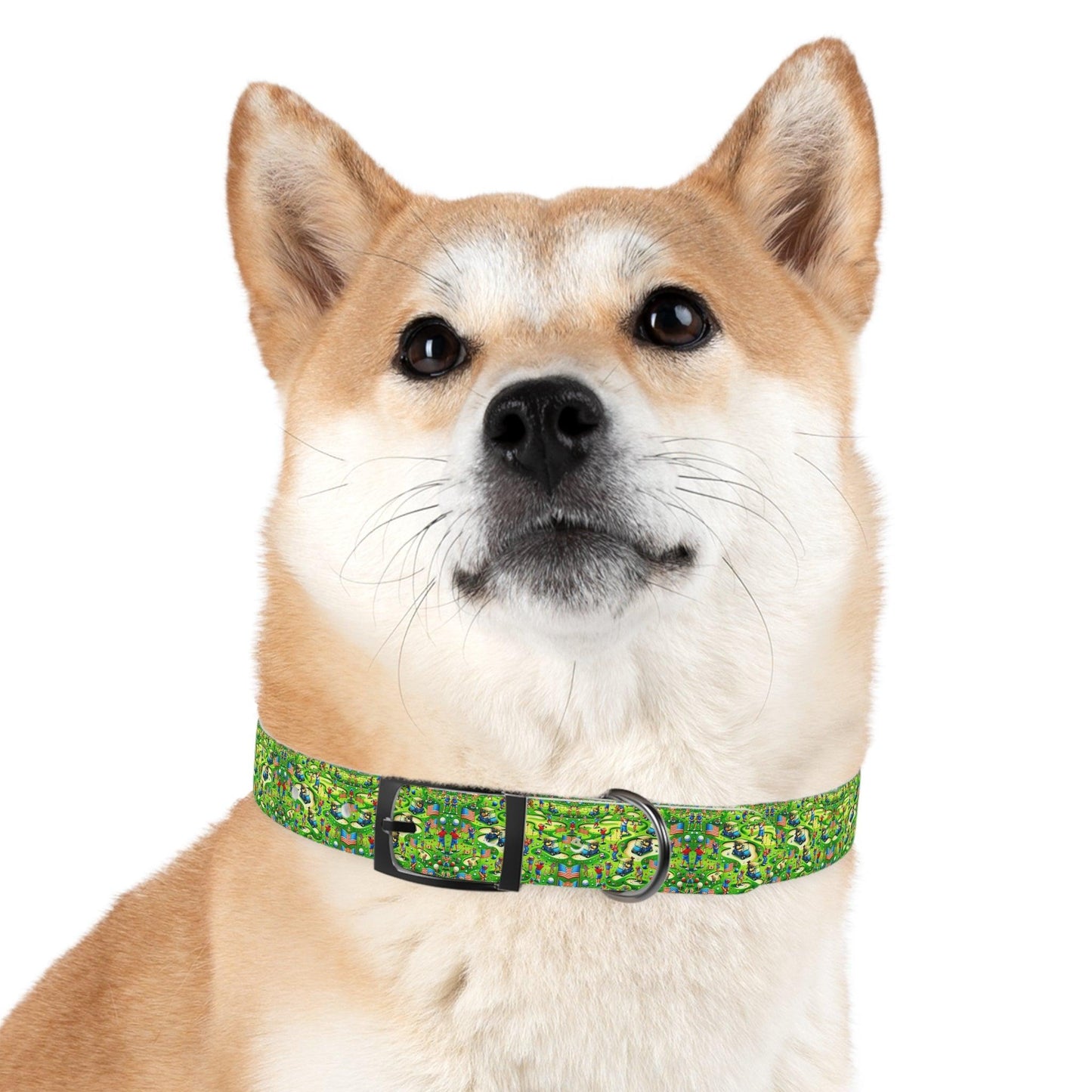 Fore! & Freedom Dog Collar