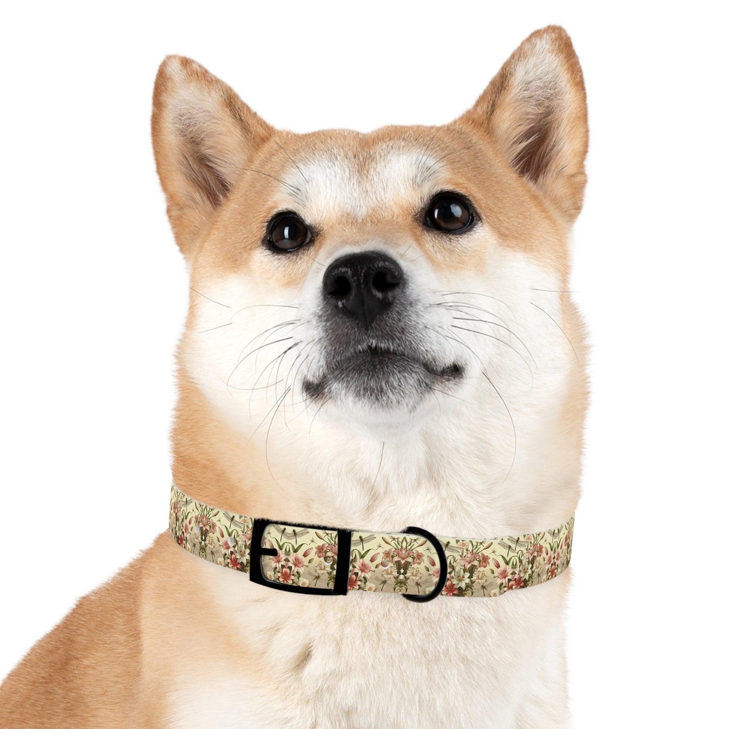 Wings & Whispers Dog Collar