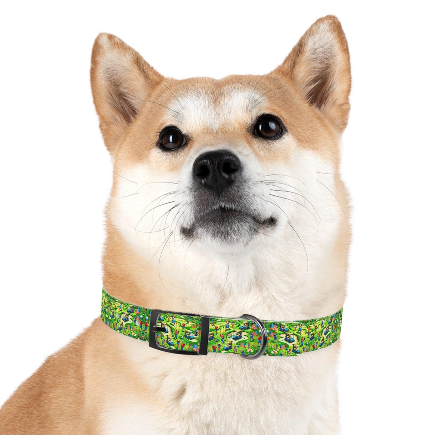 Fore! & Freedom Dog Collar
