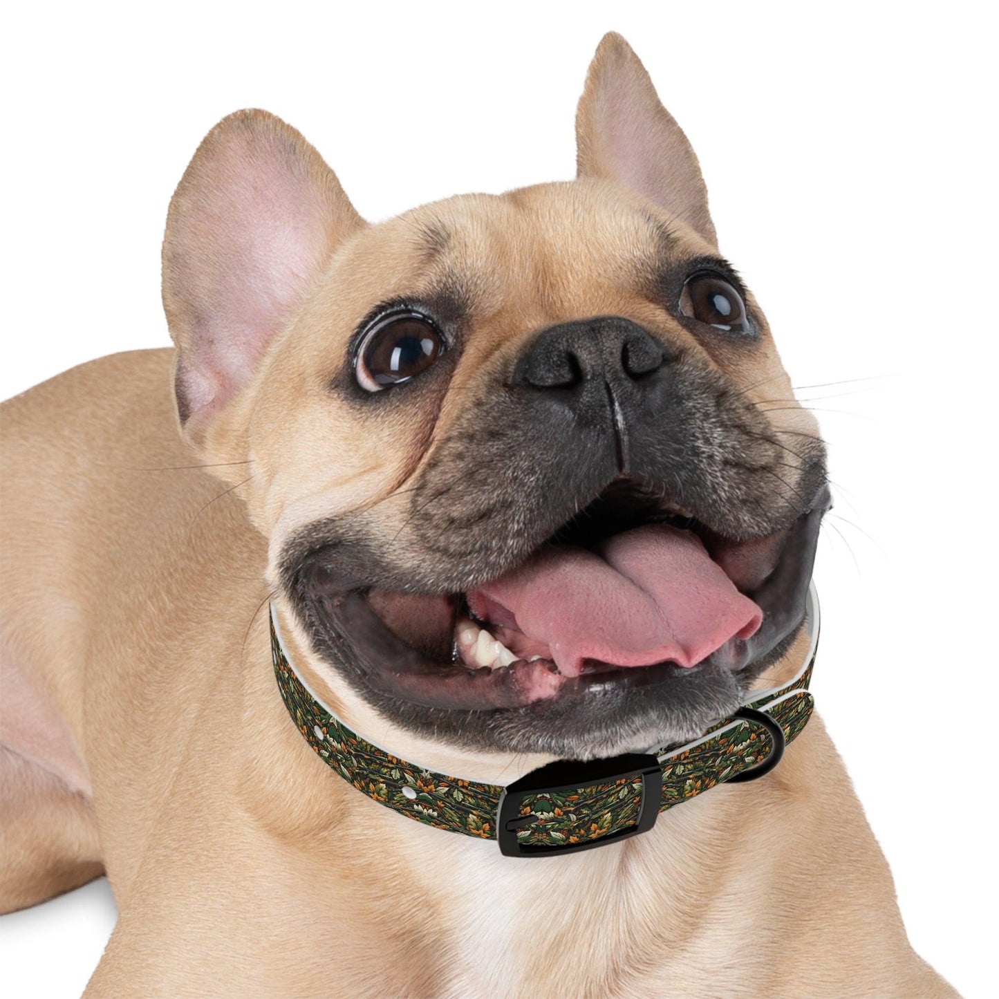 Hunt & Hike Collar