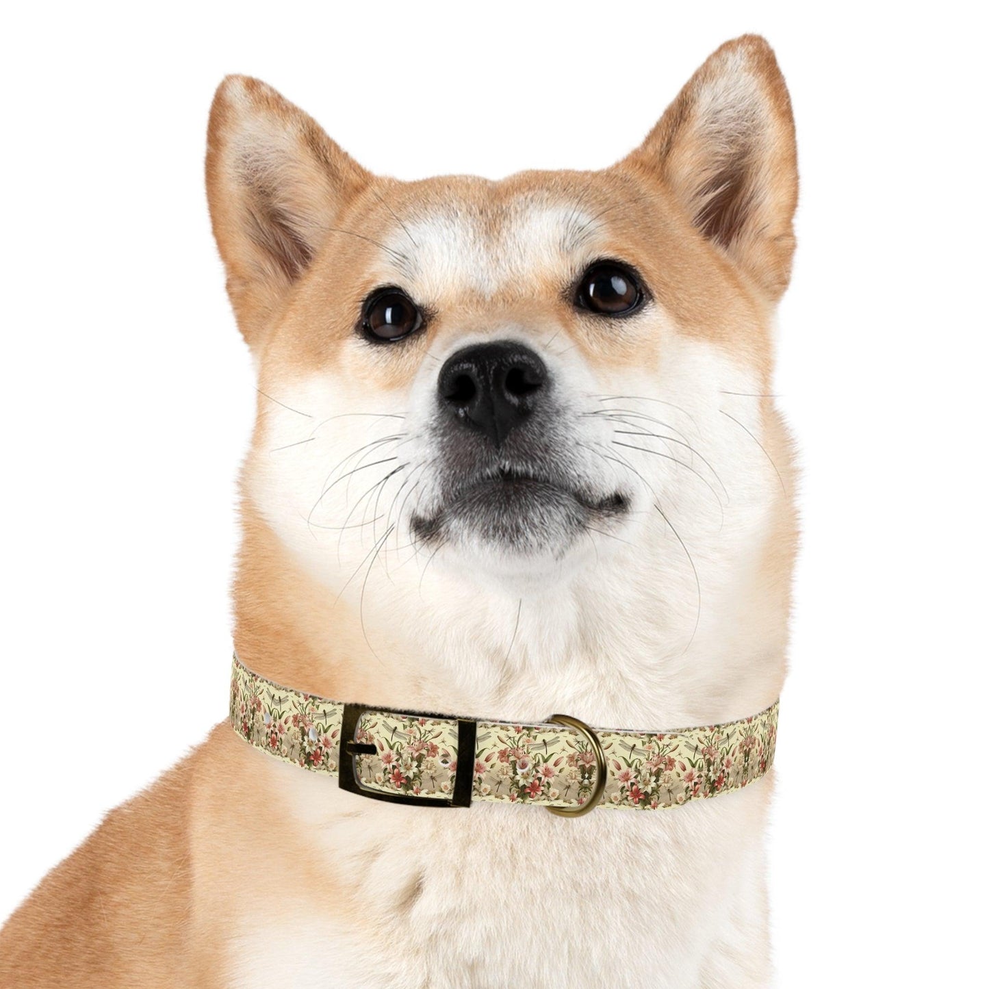 Wings & Whispers Dog Collar