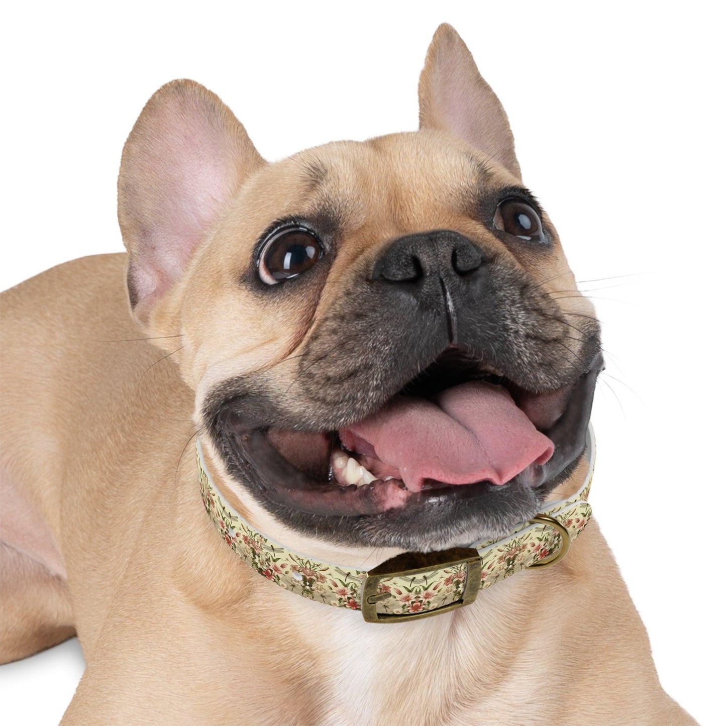 Wings & Whispers Dog Collar