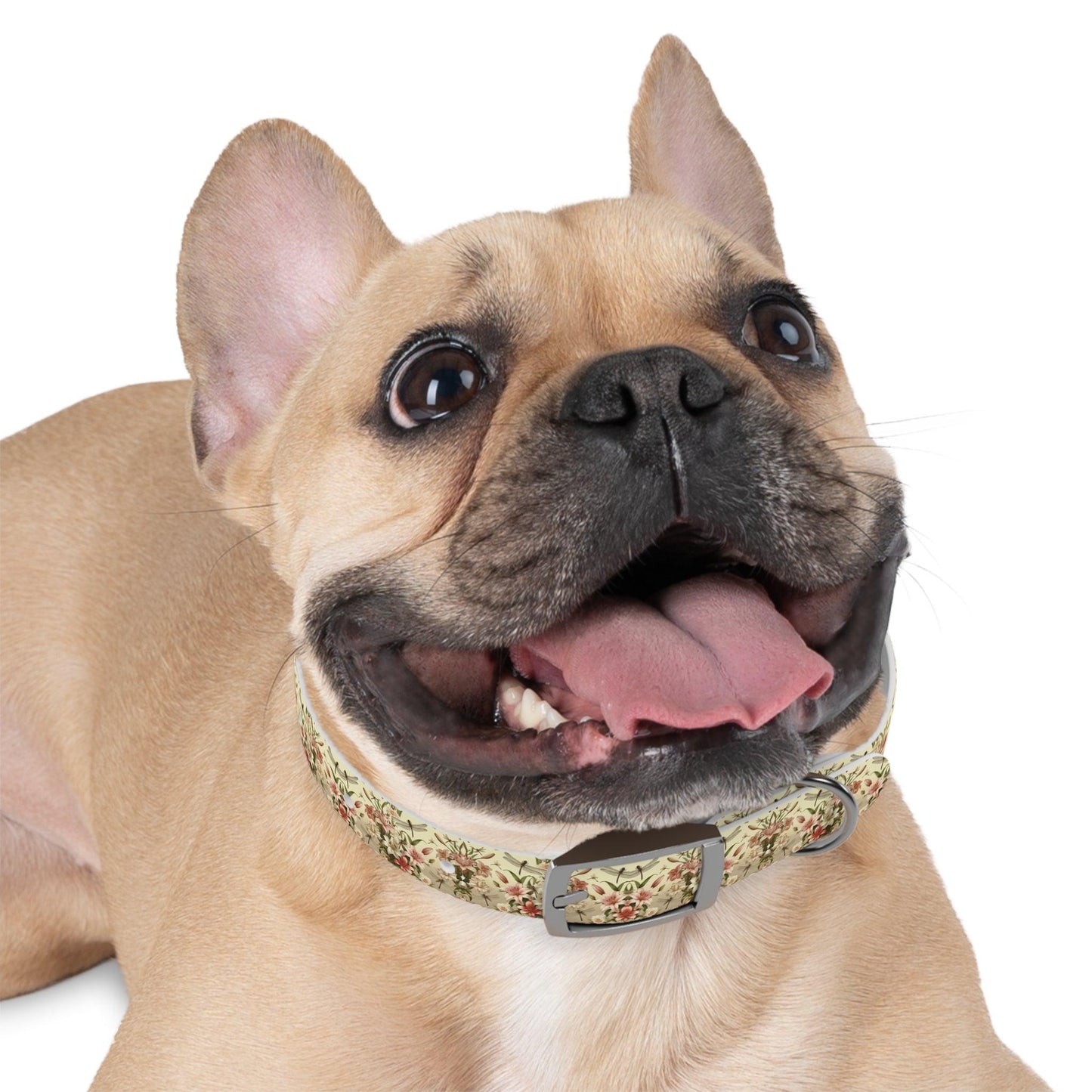 Wings & Whispers Dog Collar