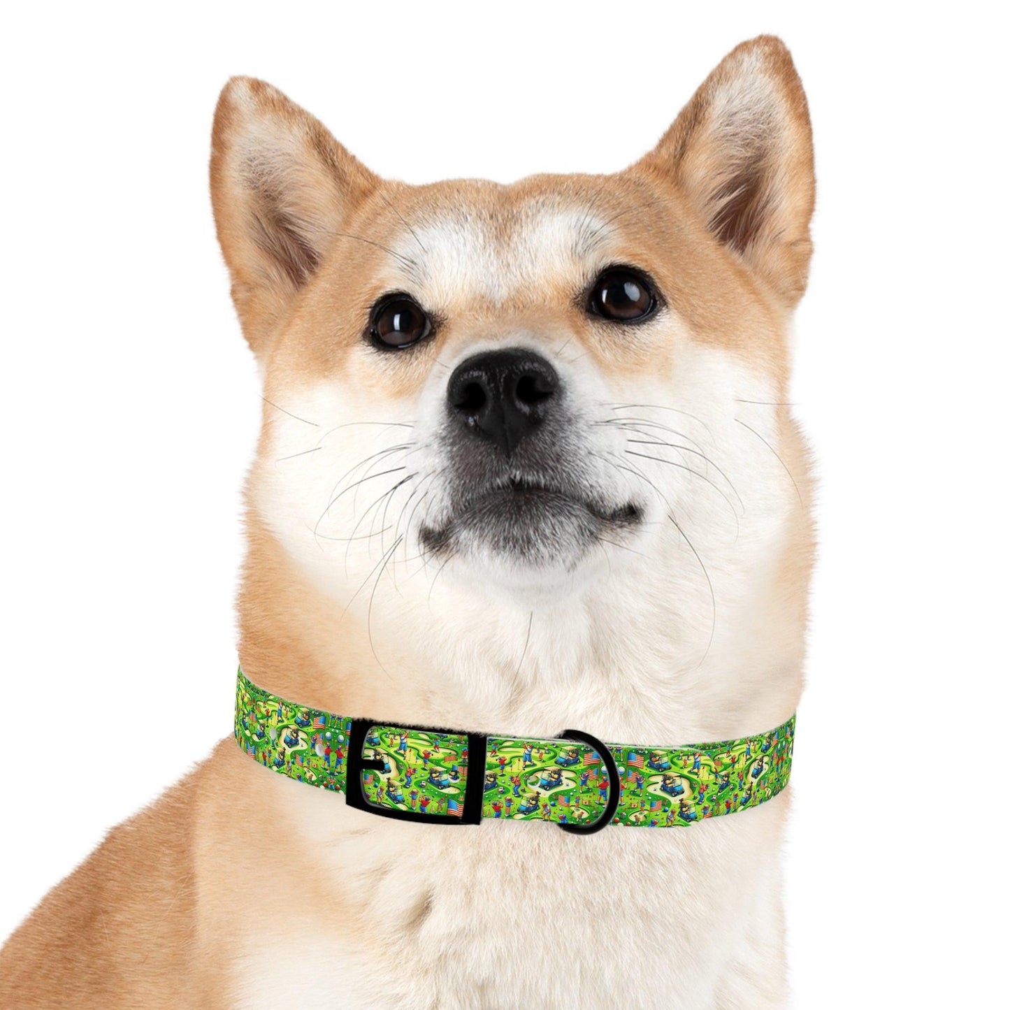 Fore! & Freedom Dog Collar